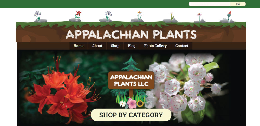 Appalachian Plants